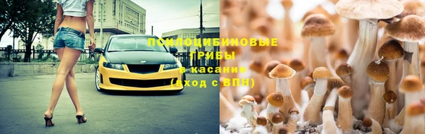 прущие крисы Костерёво