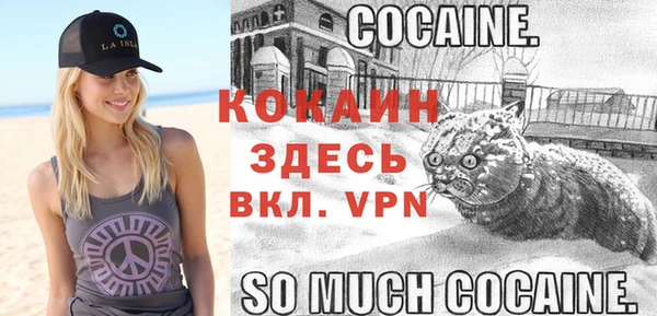 гидра Коряжма