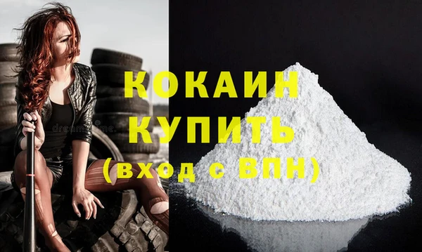 гидра Коряжма