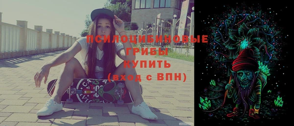 амф Краснотурьинск