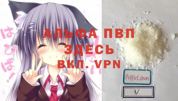 молекула духа Краснослободск