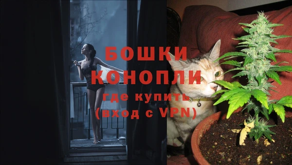 прущие крисы Костерёво