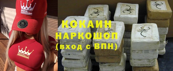 гидра Коряжма